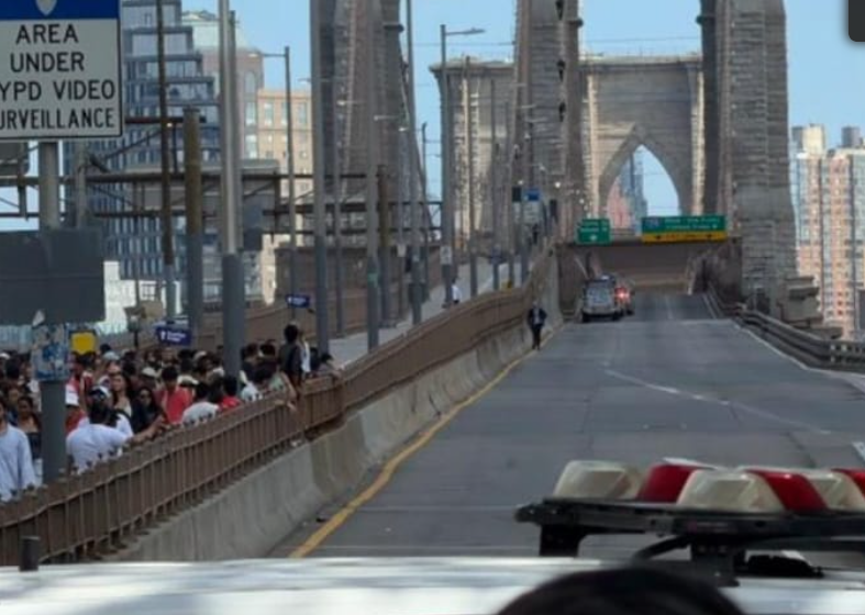 Brooklyn Bridge Suicide, Death - Naked Man Died After Jumping Off Tower