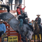 Dusty LaValley Cause of Death, Alberta Obituary - Canadian Professional Rodeo Association Bareback Riding Champ Is Dead